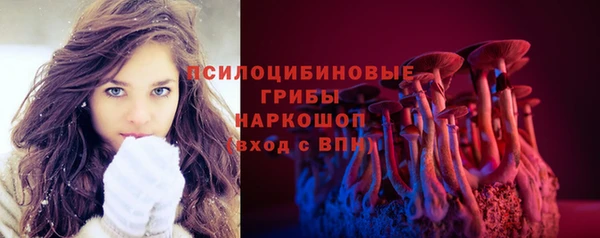 спиды Новокубанск