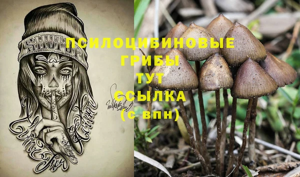 спиды Новокубанск
