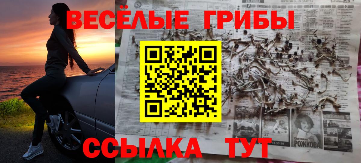 Галлюциногенные грибы прущие грибы  купить наркотики сайты  Красноярск  Галлюциногенные грибы Magic Shrooms  Вход с VPN 